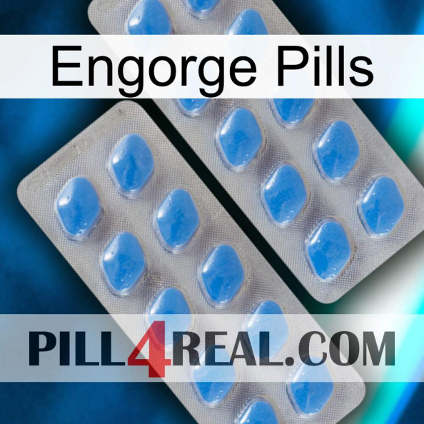 Engorge Pills 23
